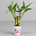 Bamboo Plant in Hug & Kisses Pot & Cadbury Celebrations