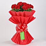 Vibrant 20 Red Carnations Bouquet
