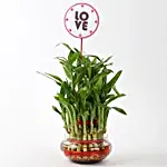 Three Layer Bamboo in Vase with Love Tag