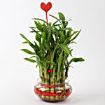 Three Layer Lucky Bamboo With Heart Shaped Tag