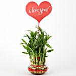 Three Layer Lucky Bamboo With I Love You Tag
