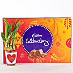Lucky Bamboo & Cadbury Celebration Box