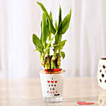 Lucky Bamboo In I Love Your Glass Vase