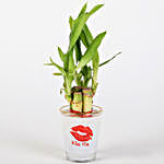 Lucky Bamboo In Kiss Me Printed Glass Vase