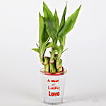 Lucky Bamboo In Printed Glass Vase