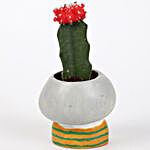 Moon Cactus In Thinking Girl Raisin Pot