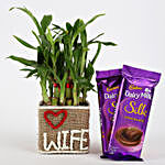 2 Layer Lucky Bamboo For Wife With Dairy Milk Silk Chocolates