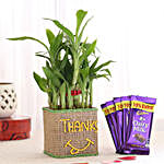 2 Layer Lucky Bamboo In Glass Vase With Dairy Milk Chocolates