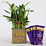 2 Layer Lucky Bamboo In Glass Vase With Dairy Milk Chocolates
