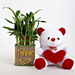 2 Layer Lucky Bamboo In Glass Vase With Teddy Bear