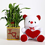 2 Layer Lucky Bamboo In I Love U Glass Vase With Teddy Bear