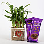 2 Layer Lucky Bamboo In I Love U Vase With Dairy Milk Silk Chocolates
