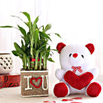 2 Layer Lucky Bamboo In I Love U Vase With Teddy Bear