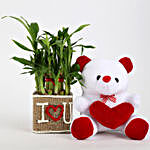 2 Layer Lucky Bamboo In I Love U Vase With Teddy Bear