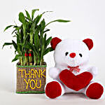 2 Layer Lucky Bamboo In Thank You Vase With Teddy Bear