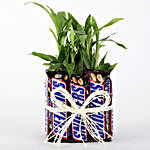 2 Layer Lucky Bamboo With Snickers