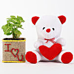 Syngonium Plant in I Love You Vase & Teddy Bear
