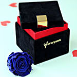 Royal- Forever Blue Rose in Velvet Box