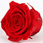 Timeless- Forever Red Rose in Velvet Box