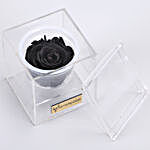 Black Jade- Forever Black Rose in Acrylic Box