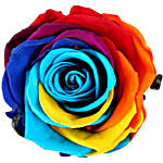 Mystic- Forever Rainbow Rose in Acrylic Box