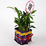 Lucky Bamboo with Love Tag & Dairy Milk Combo