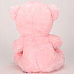 Small Heart Pink Color Teddy Bear