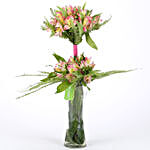 10 Dark Alstroemeria Flowers in Glass Vase