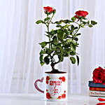 Rose Plant In White Ceramic Mug