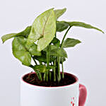 Syngonium Plant in Be Mine Forever Mug