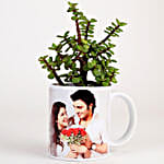 Jade Plant In Personalised Mug White