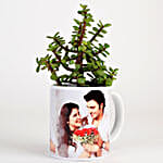 Jade Plant In Personalised Mug White