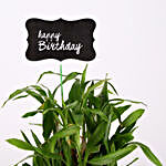 3 Layer Bamboo Plant For Happy Birthday