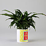 Peace Lily In Happy Mothers Day Pot