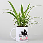 Spider Plant In Personalised Mug For Mummy