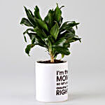 Dracaena Plant In Printed Pot For Mom