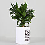 Dracaena Plant In Printed White Pot For Mom