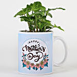 Syngonium Plant In Blue Mother's Day Mug