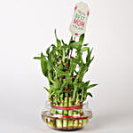 3 Layer Bamboo Plant With Best Mom Tag