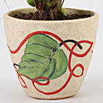 Syngonium Plant In Designer Ceramic Pot
