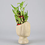 2 Layer Bamboo In Artistic Ceramic Pot