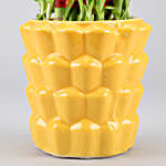 3 Layer Bamboo In Yellow Designer Ceramic Pot