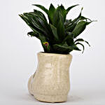Dracaena Plant In Shoe Shaped Ceramic Pot
