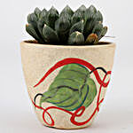 Haworthia Cooperi Plant In Decorative Ceramic Pot