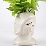 Lucky Money Plant In Ceramic Pot