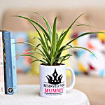 Spider Plant For Mom In Personalised Mug