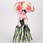Delicate 24 Hand Tied Carnations