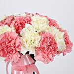 Delicate 24 Hand Tied Carnations