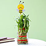 2 Layer Bamboo Plant With Honey Bee