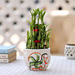 3 Layer Bamboo Plant In Printed Ceramic Pot
